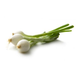 Spring onion