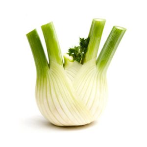 Fennel